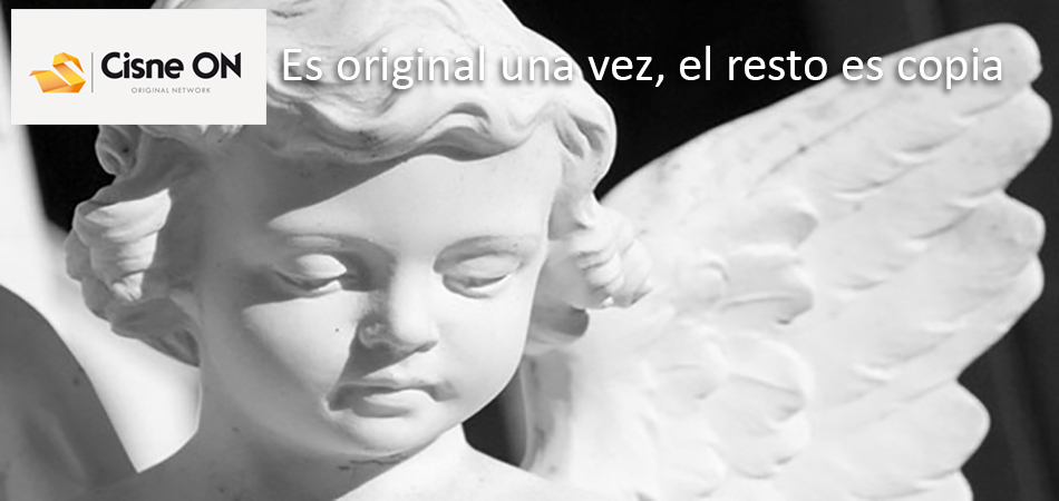 Cisne ON | Bienvenidos a nuestra web. Explore y no dude en contactar si lo necesita.